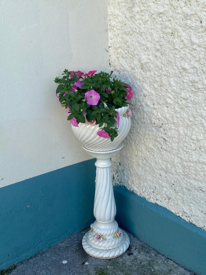 Farm Stay Property Pets And Families Welcome Rossnowlagh Exterior photo