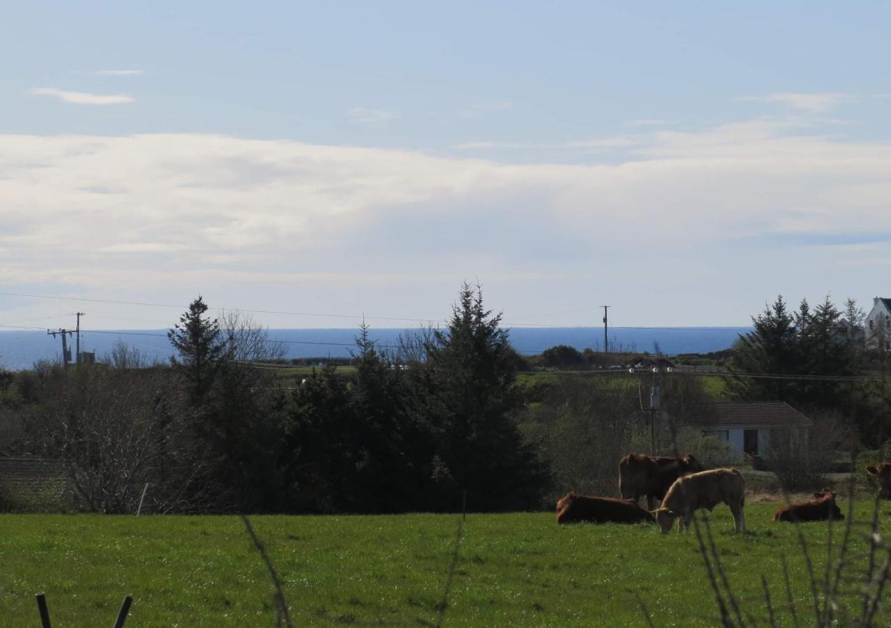 Farm Stay Property Pets And Families Welcome Rossnowlagh Exterior photo