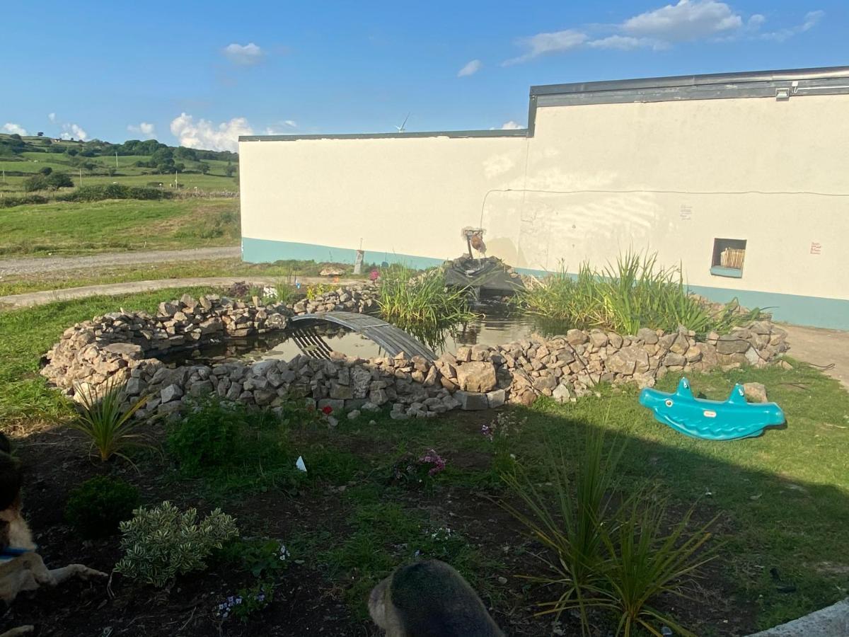 Farm Stay Property Pets And Families Welcome Rossnowlagh Exterior photo