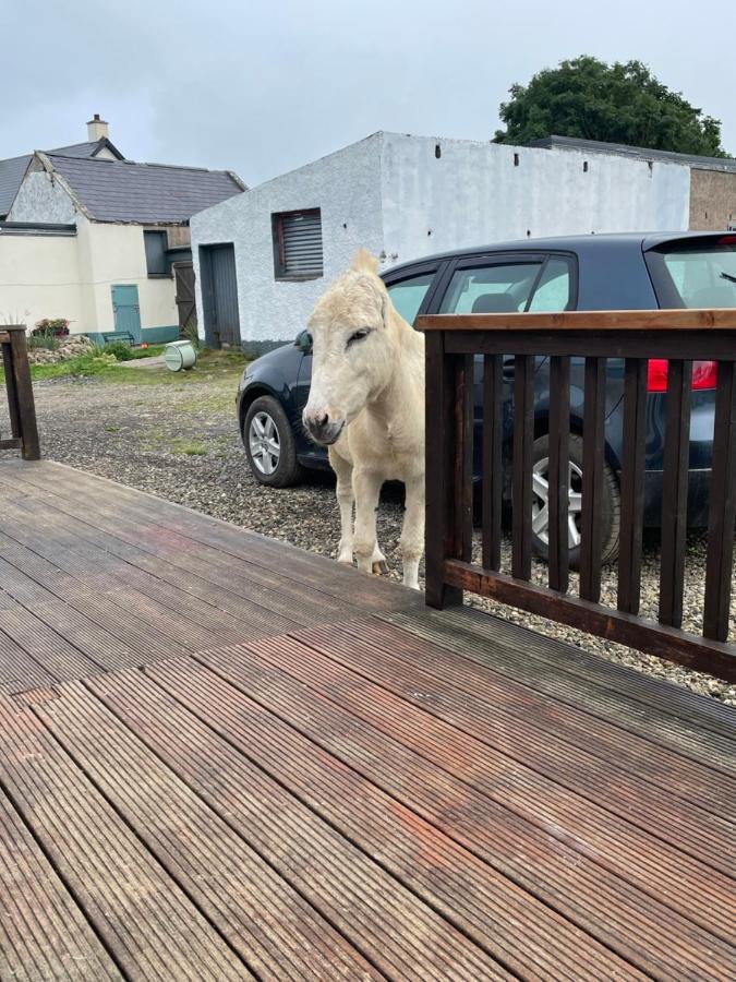 Farm Stay Property Pets And Families Welcome Rossnowlagh Exterior photo