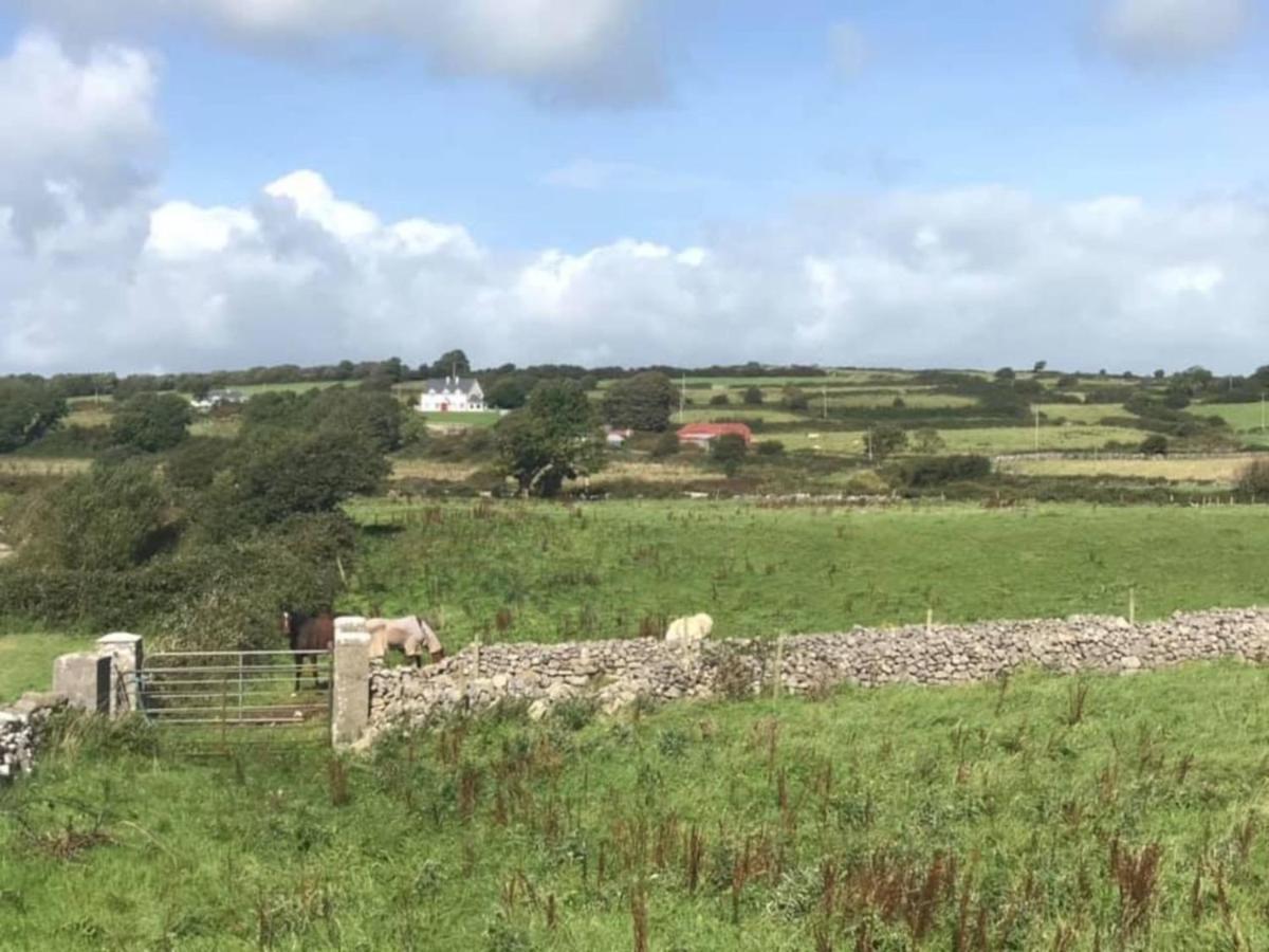 Farm Stay Property Pets And Families Welcome Rossnowlagh Exterior photo